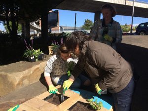 Planting Workshop under The Flyover - an early Urban Workbench Project